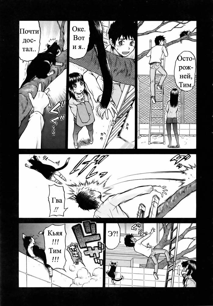 Nyan surprise/Чудесная кошечка page 12 full