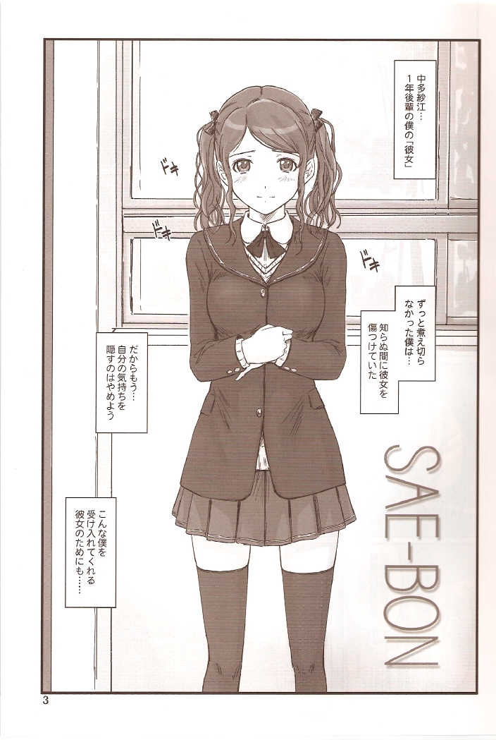 SAE-BON page 2 full