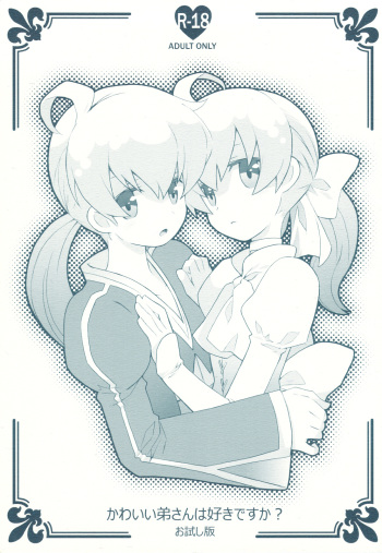 (C78) [Bakuhatsu BRS. (B.Tarou)] Kawaii Otouto-san wa Suki desu ka? Otameshiban (Final Fantasy Tactics) cover