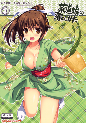 (C78) [Alpha to Yukaina Nakamatachi (Alpha)] Expert ni Narimashita! 7 Sadou Musume no Otoshikata cover