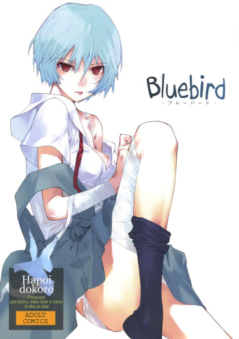 (C77) [Hapoi-dokoro (Okazaki Takeshi)] Bluebird (Neon Genesis Evangelion) [Spanish] [TCF] cover