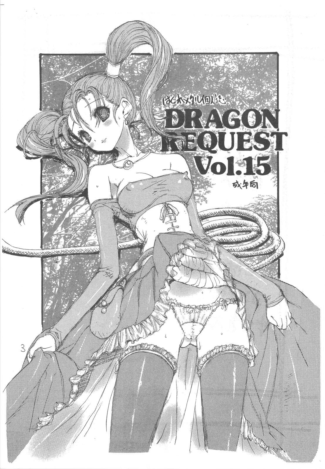 DRAGON REQUEST Vol. 15 page 3 full