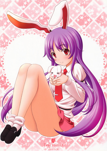 (Reitaisai 6) [Tiny Feather (Sin-Go)] -Yume- (Touhou Project) cover