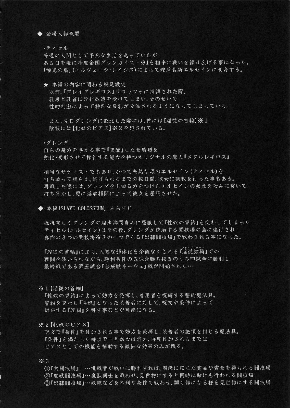 Shield Knight Elsain Vol. 9 SLAVE COLOSSEUM page 3 full