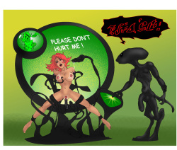 my cool cat collection