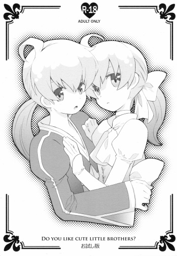 (C78) [Bakuhatsu BRS. (B.Tarou)] Kawaii Otouto-san wa Suki desu ka? Otameshiban | Do you Like Cute Little Brothers? (Final Fantasy Tactics) [English] =LWB= cover