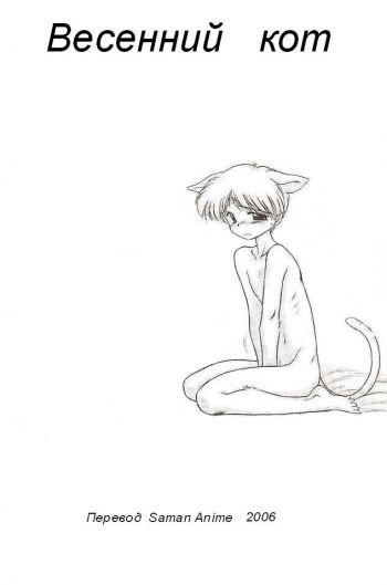 SailorMoon (Artemis - stray cat) (RUS) cover