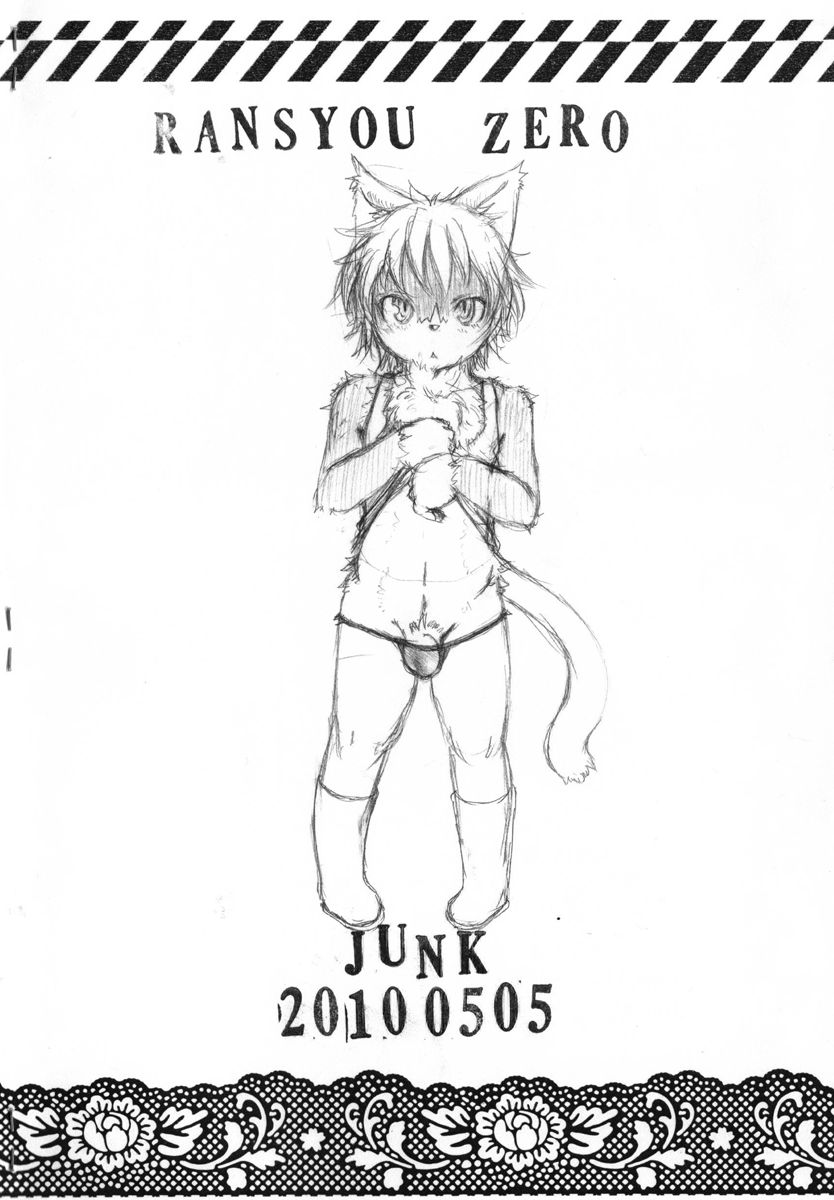 JUNK page 12 full