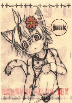JUNK