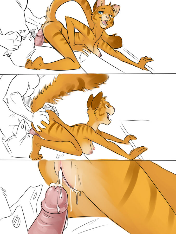 Mix of my Furry page 7 full