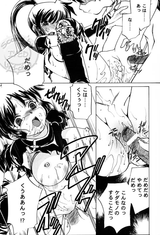 Taijiya Senki 3 VS Kaze page 12 full