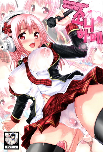 (C81) [An-Arc (Hamo)] Sonihame (Super Sonico) [Korean] cover