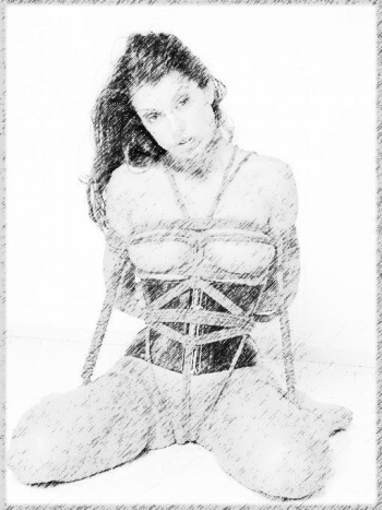 bondage art from around the net cover