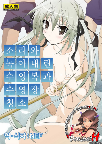 (SC49) [Nihon Dandy (Matsuno Susumo)] Sora to Tokeru Mizugi to Pool Souji (Yosuga no Sora) [Korean] [Project H] cover