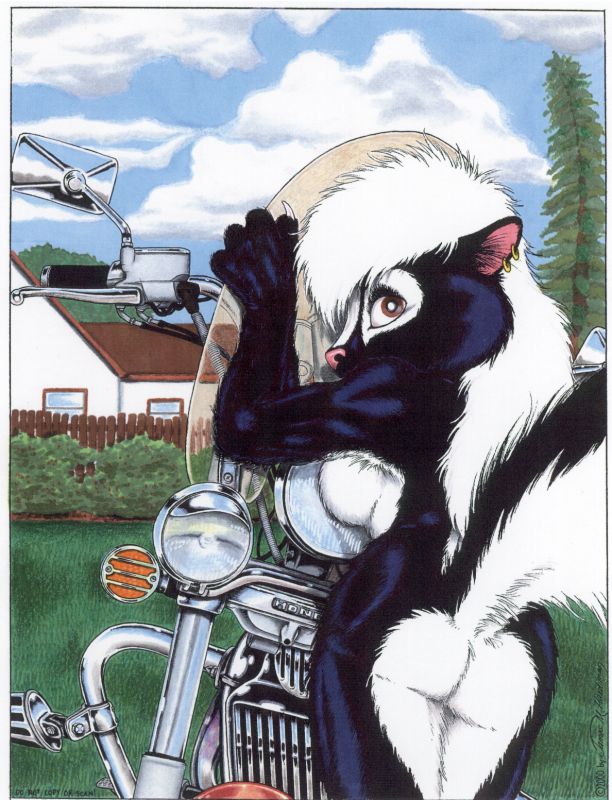 skunks and rabbits page 4 full