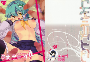 (Reitaisai 6) [super:nova (Yukimachi Tounosuke)] Yume Miru Kusuri 1 (Touhou Project) [Korean] [Team DCMYS] cover