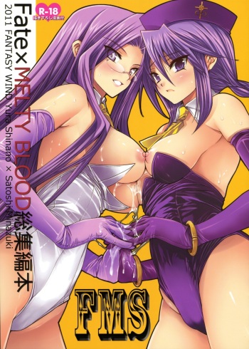 [FANTASY WIND (Shinano Yura, Minazuki Satoshi)] FMS (Fate/stay night, Melty Blood) cover