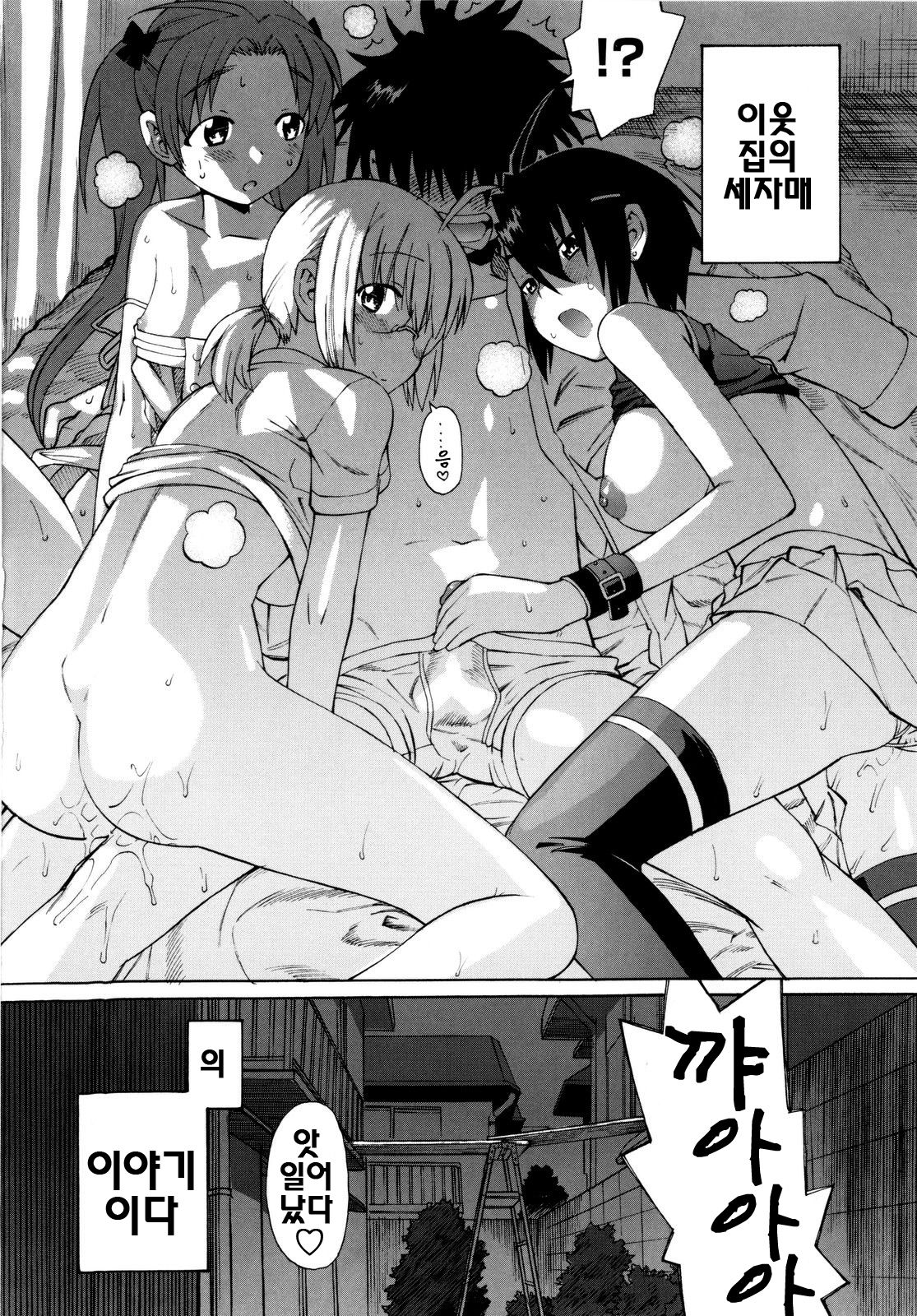 Shinkon Shimai - Newly weds Sisters | 신혼자매 page 12 full