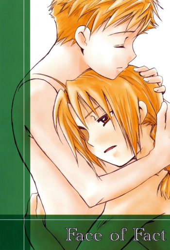[Heppoko Alchemist (Soguni Mana)] Face of Fact (Fullmetal Alchemist) cover