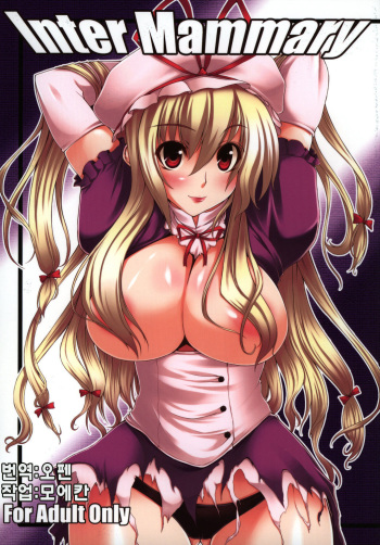(Reitaisai 5) [Mata Ashita. (Oohira Sunset)] Inter Mammary (Touhou Project) [Korean] [오펜] cover