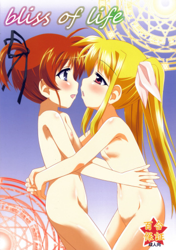 (C79) [Goberazzo (Mukaibi Aoi)] bliss of life (Mahou Shoujo Lyrical Nanoha) cover