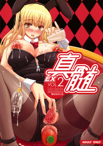 [Kabushikigaisha Toranoana (Various)] Shinzui EX Vol. 2 cover
