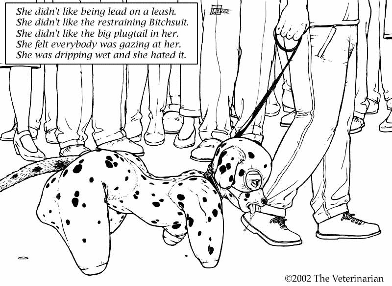 Best image page 9 full