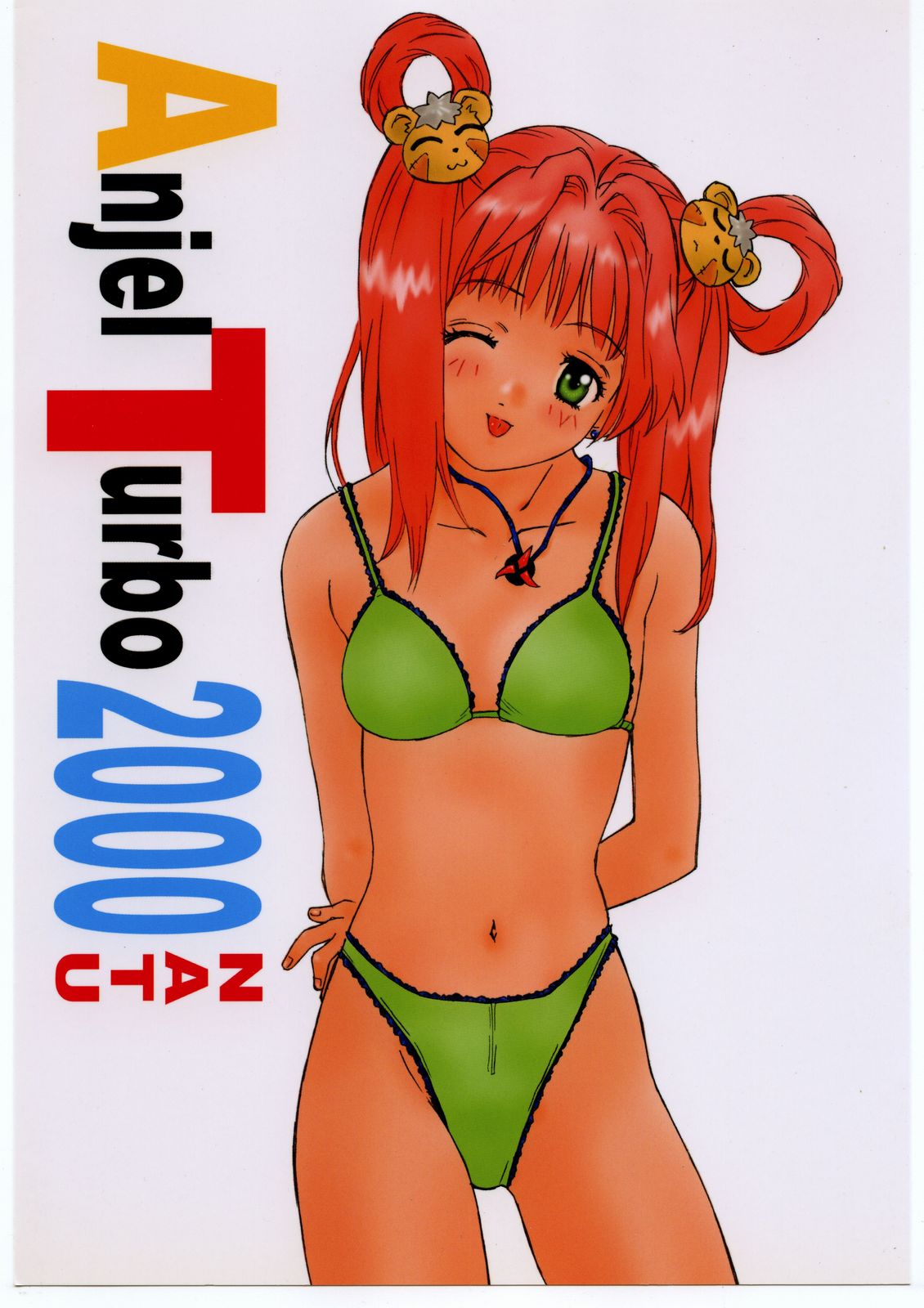 Anjel Turbo 2000 Natu page 1 full