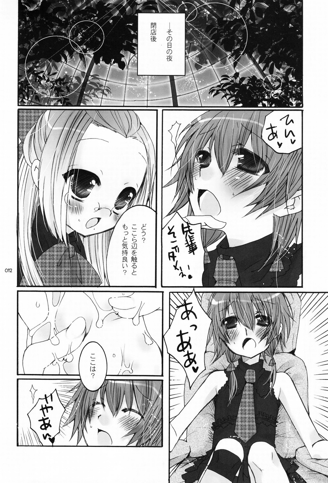 Shounen Iro Zukan 5 ~Shoujosou 2~ page 11 full