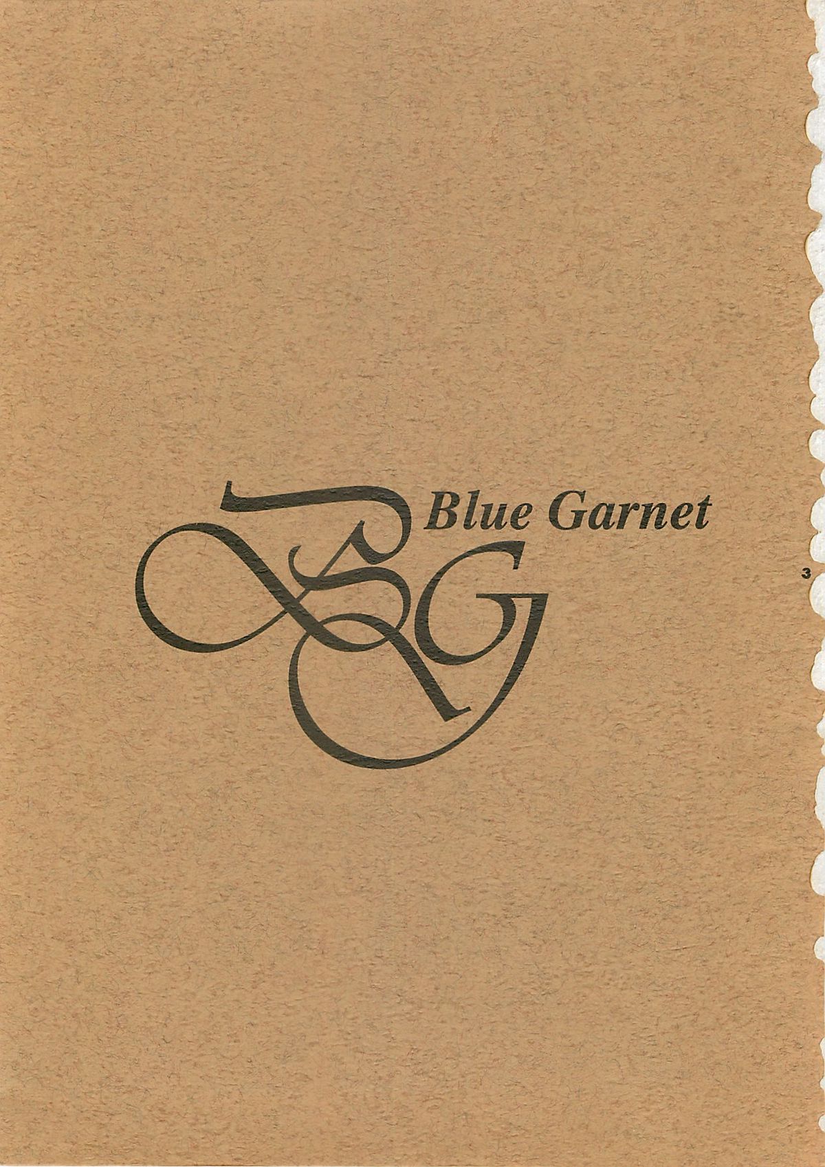 Blue Garnet Vol. 4 Kinku page 2 full