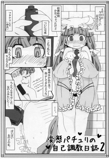 (Reitaisai 8) [Kouhuku Shigen (ryokutya)] Hentai Patchouli no Jiko Choukyou Nisshi 2 (Touhou Project) cover