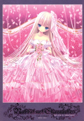 [Rabbit] habit net chronicles 2nd volume cover