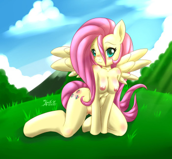 Fluttershy cover