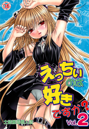 (C74) [Studio Wallaby (Shizaki Masayuki)] Ecchii no wa Suki Desu ka? 2 (To LOVE-Ru) cover