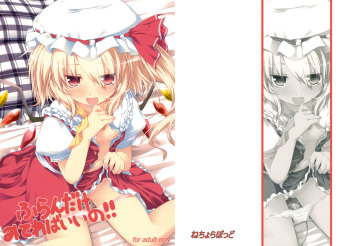 (C79) [Tetrapod (Nanpuu)] Frandake mitereba iino !! (Touhou Project) cover