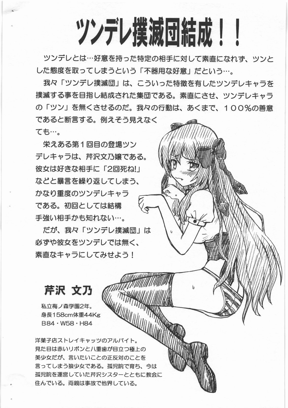 MAYOINEKO FILE Serizawa Fumino Gazoushuu page 2 full
