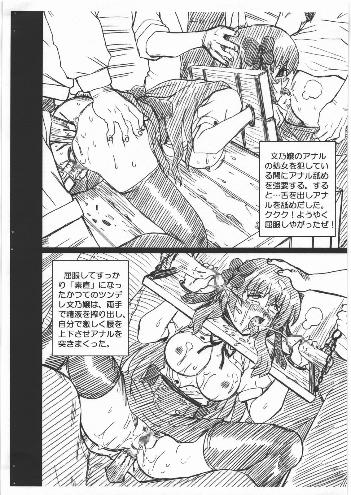 MAYOINEKO FILE Serizawa Fumino Gazoushuu page 8 full