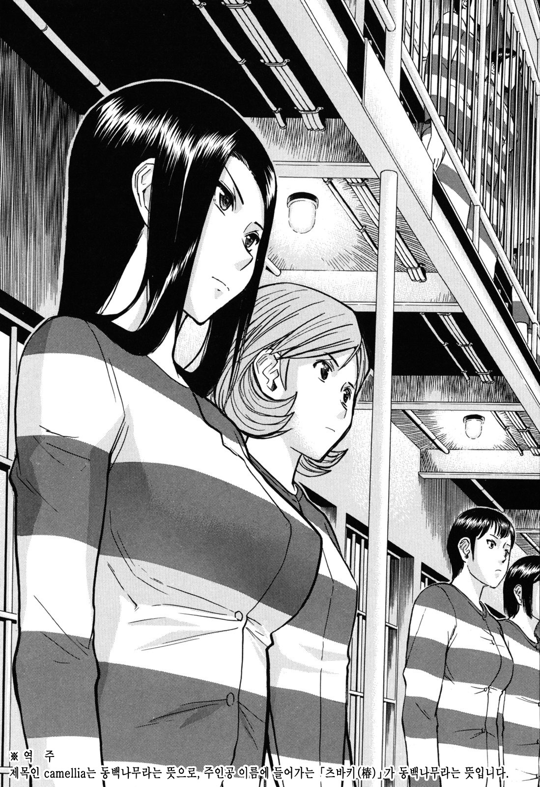 Camellia page 7 full