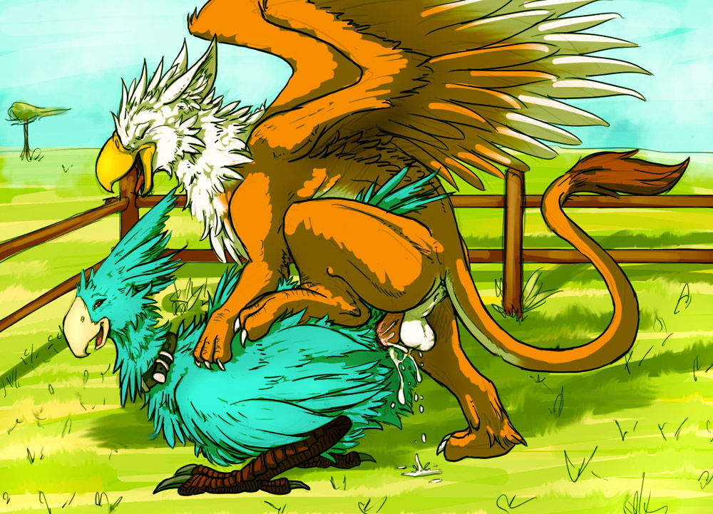 Birds and gryphons page 2 full