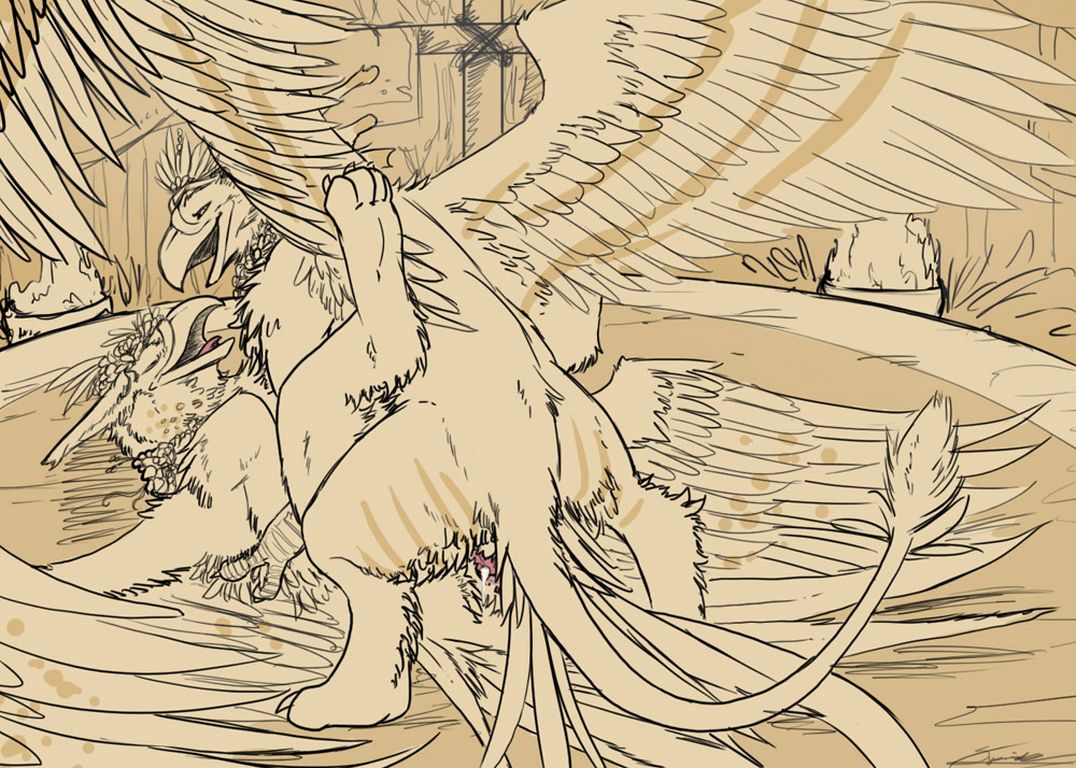 Birds and gryphons page 3 full