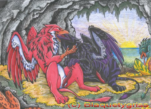 Birds and gryphons page 5 full