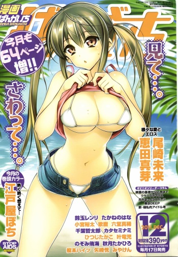Manga Bangaichi 2011-12 cover