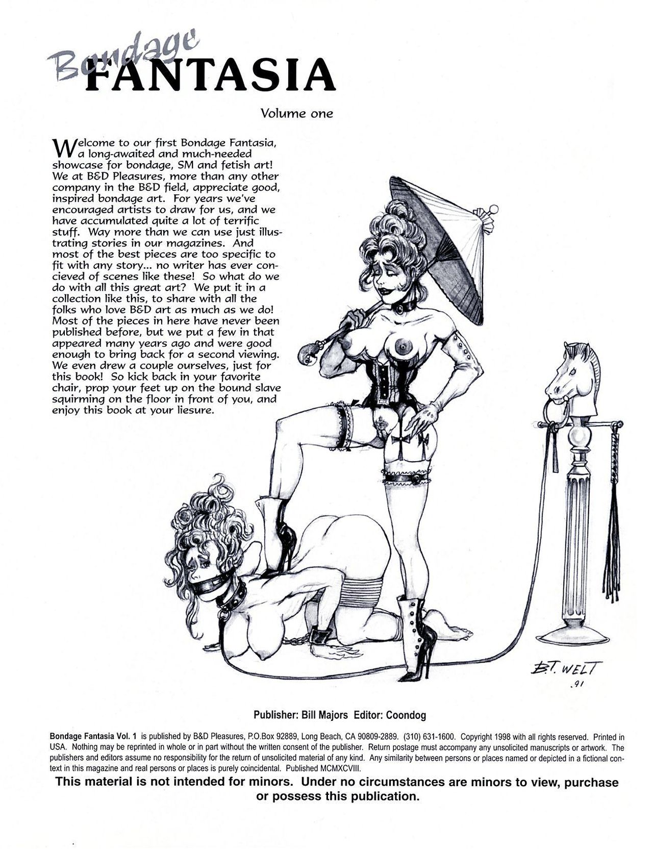Bondage Fantasia page 2 full