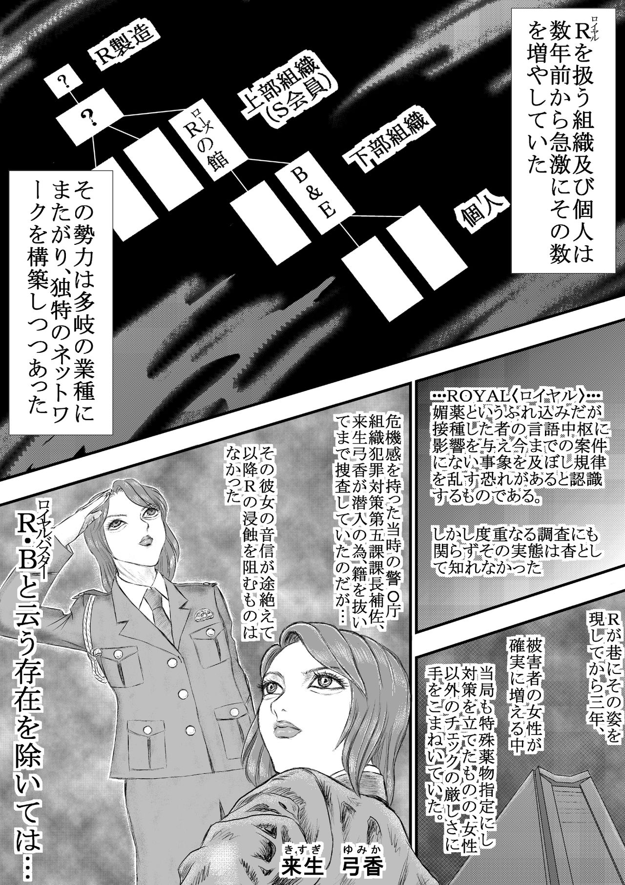 Rmanual R.B補完計画 page 11 full