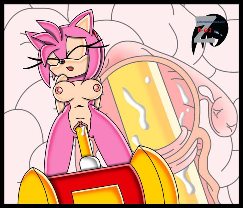 Amy Rose page 11 full