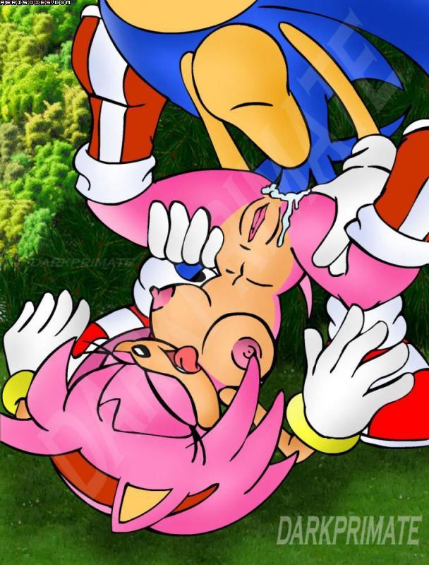 Amy Rose - Page 5 - Comic Porn XXX