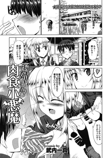 [Takeuchi Kazuma] Oneesan wa Nikushoku Koakuma (COMIC Purumelo 2011-05) cover