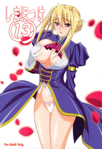 (C79) [SHIMAHOKKE (Kuroda Kazuya)] Shimahokke 13 (Princess Lover!, Akisora) cover