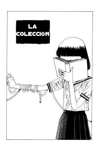 The Collection - La Coleccion (Spanish) cover