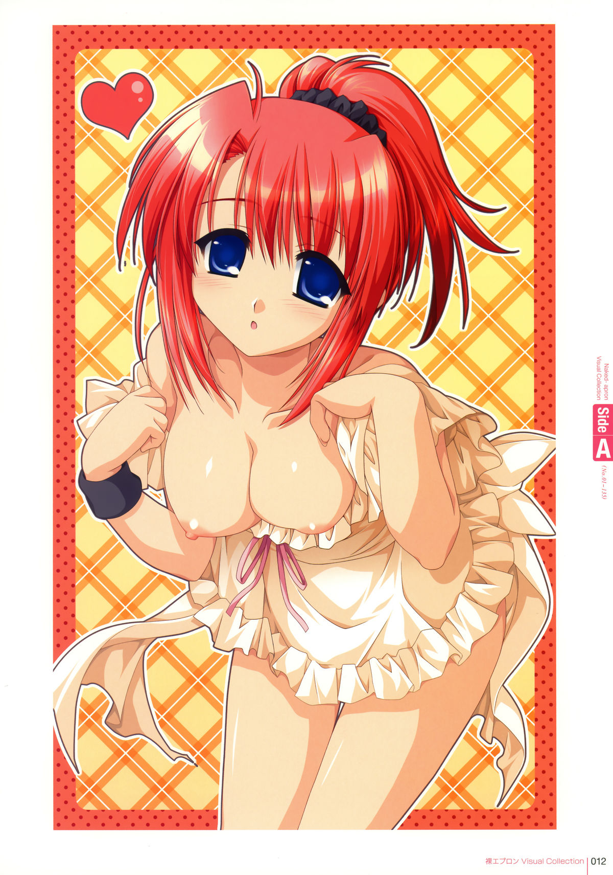Hadaka Apron Visual Collection page 11 full